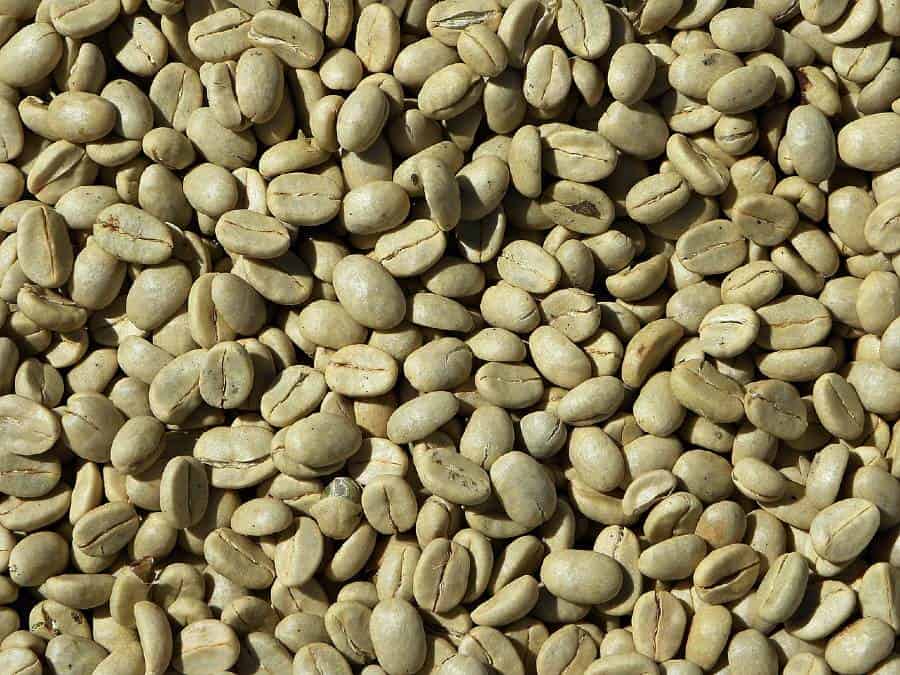 can you brew green coffee beans